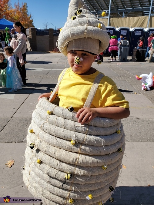 Beehive, Bee and Bee Keeper Family Costume | Original DIY Costumes