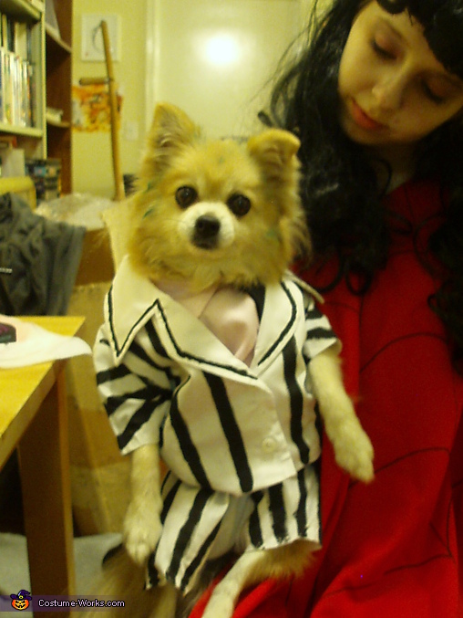 Beetlejuice and Lydia Costume