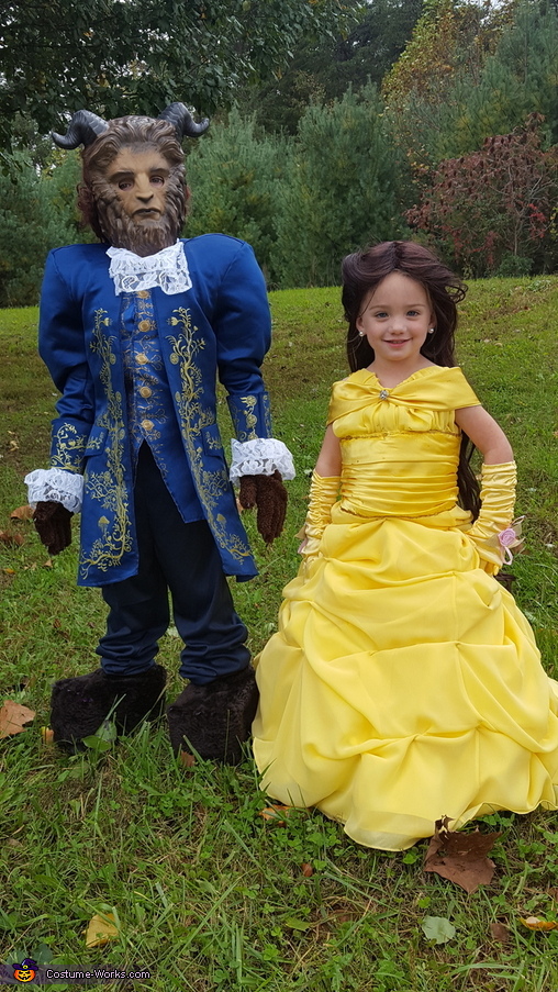 Belle Costume DIY Costumes Under 45 Photo 5/5