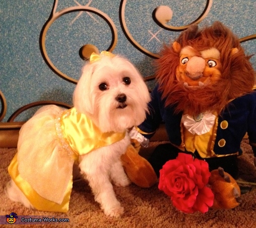 Belle from Beauty and the Beast Costume