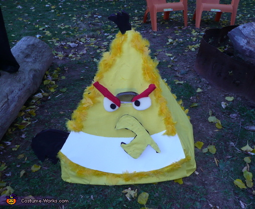 Yellow Angry Bird Costume