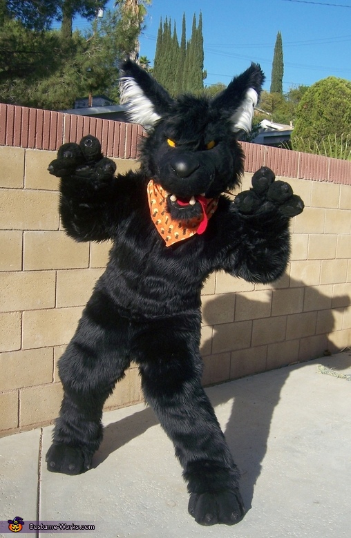 Big Bad Wolf Costume