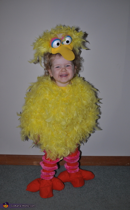 Big Bird Costume