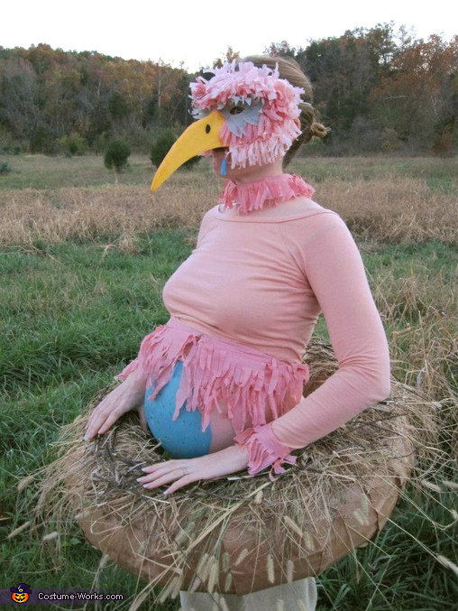 Family of Birds Halloween Costume