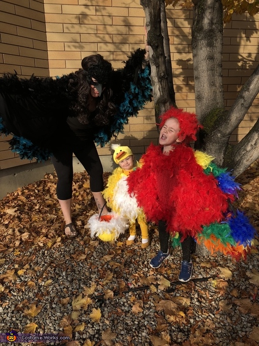 Birds of a feather flock together Costume