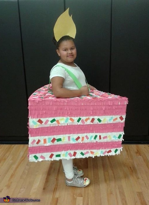 Coolest Red Velvet Birthday Cake Costume