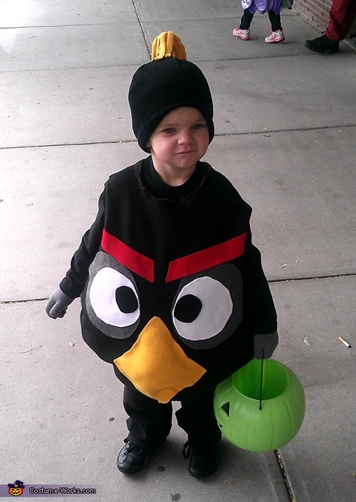 Diy Black Angry Bird Costume