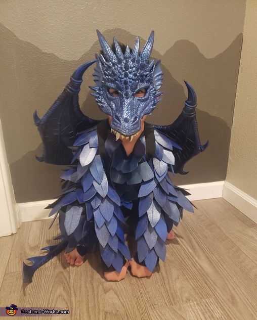 Blue Dragon Costume