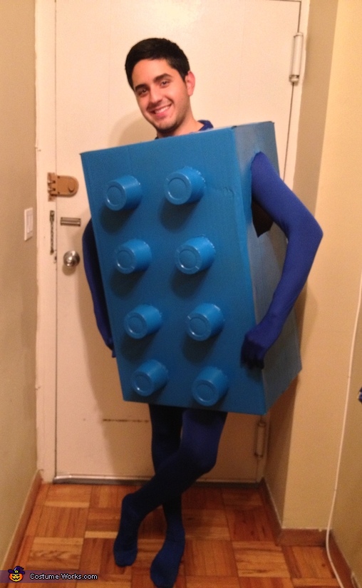 Adult lego hot sale brick costume