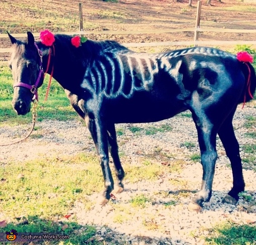 Boney Pony Costume