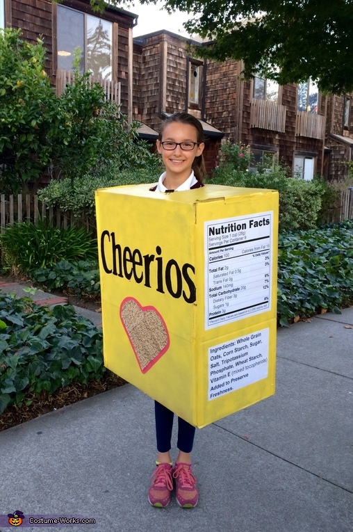 Box of Cheerios Costume