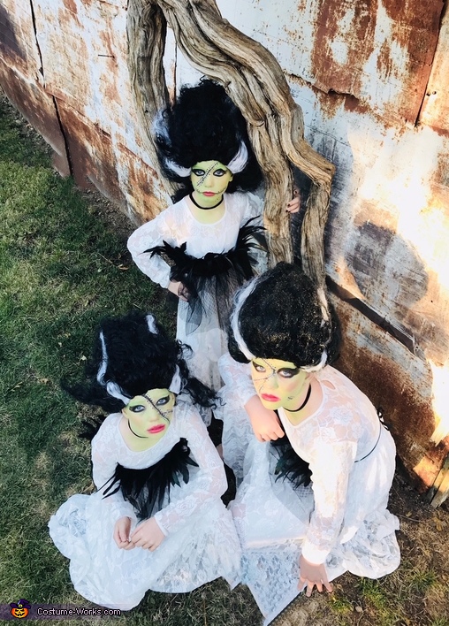 Brides of Frankenstein Costume