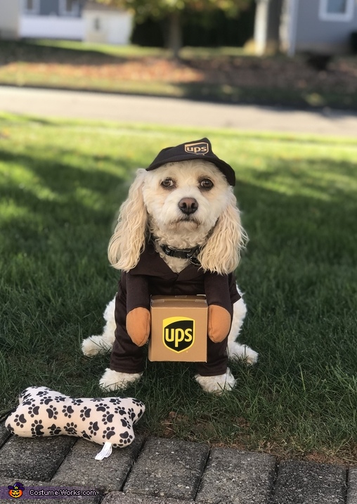 Brody the UPS Helper Costume