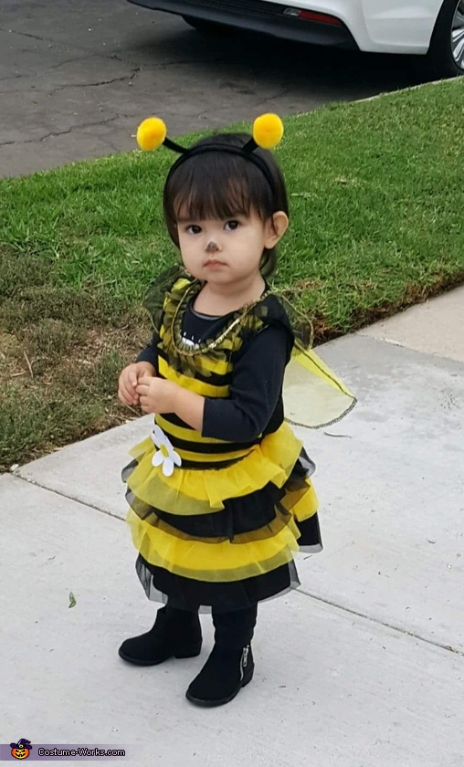 Bubble Bee Costume