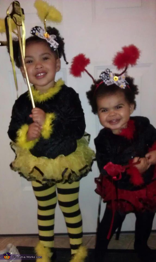 Bumble Bee and Lady Bug Costumes