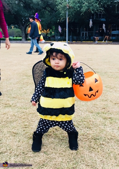 bumble bee costume baby