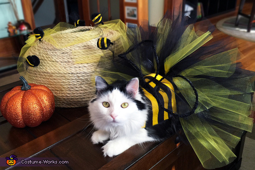 Bumble Bee Cat Costume