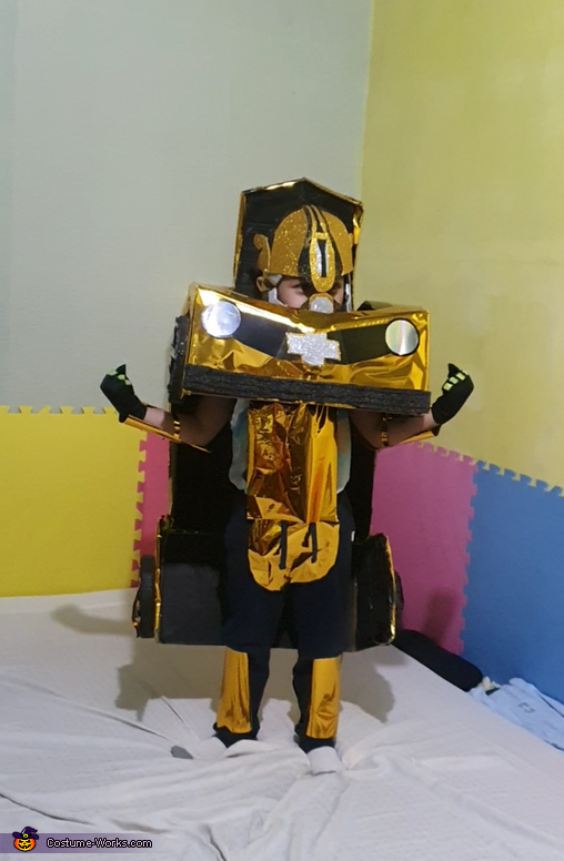 Bumblebee Costume