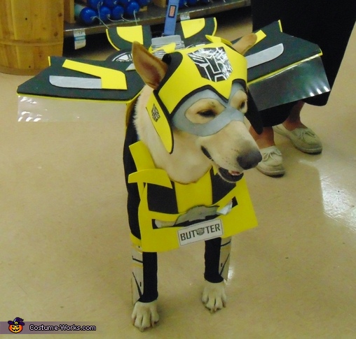 Bumblebee Transformer Dog Costume