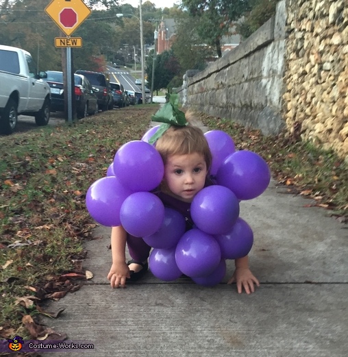 Bunch of Grapes Children's Halloween Costume - Photo 2/2