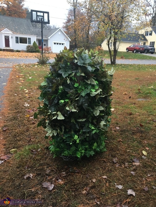 Bush Costume