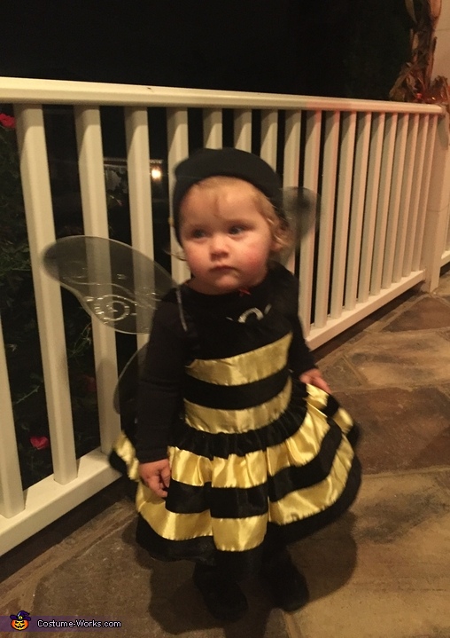 Buzz Buzz Costume