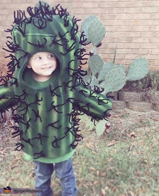 Adult Funny Cactus Costume -  