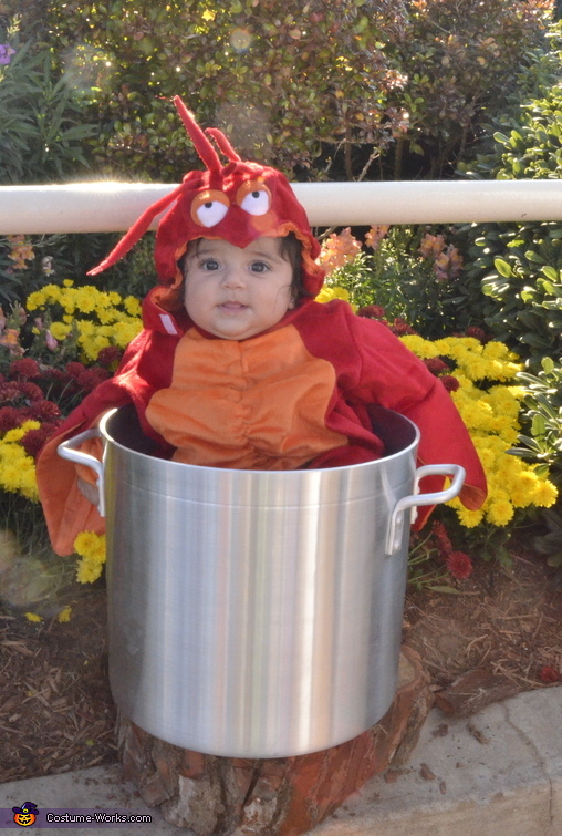 Lobster Baby Costume - Photo 2/2