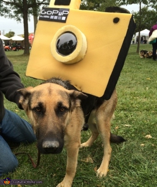 Camera Tripawd Costume