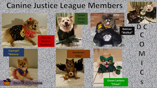 Canine Justice League Costume