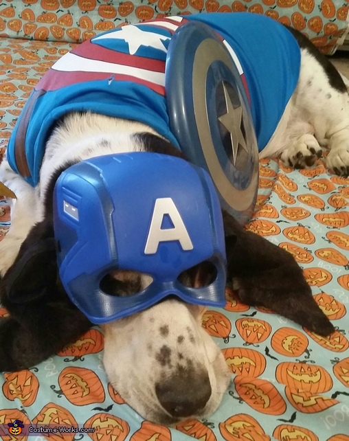 Captain America Dog Costume