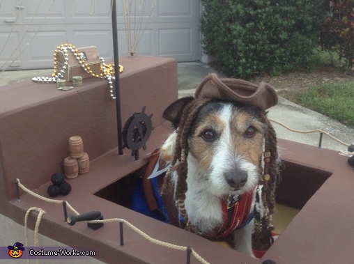 Captain Jack Sparrow Dog Costume