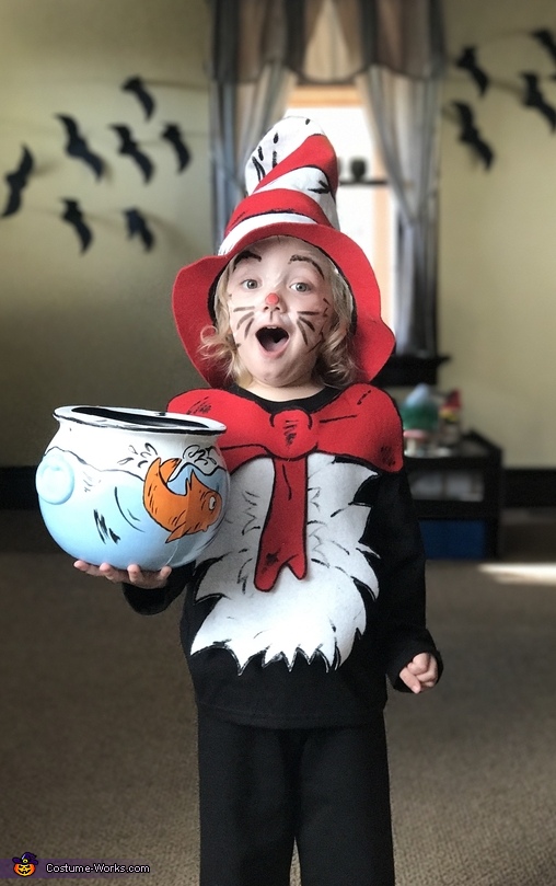 Cat and the Hat Costume