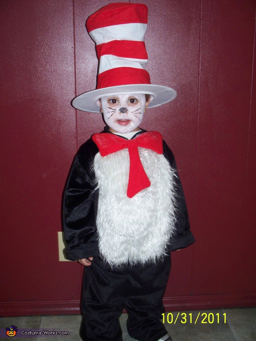 cat in the hat costume diy