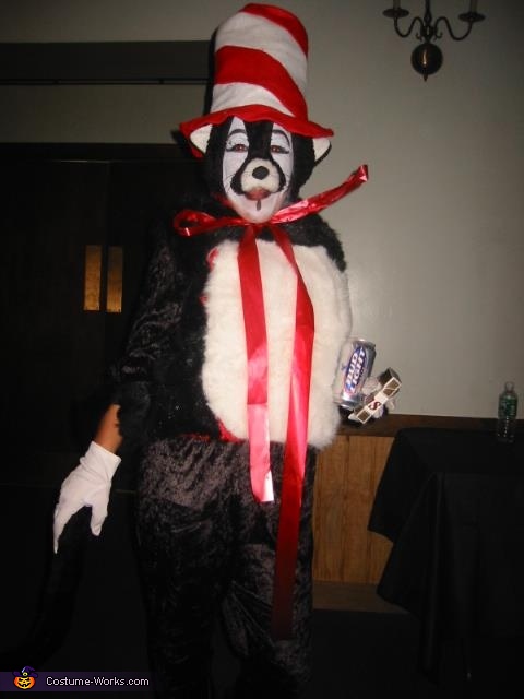 Homemade Cat In The Hat Costume