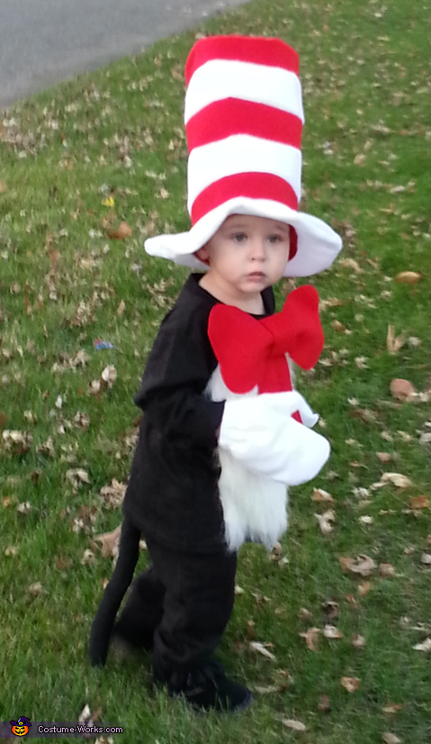 Infant cat in the hat sale costume