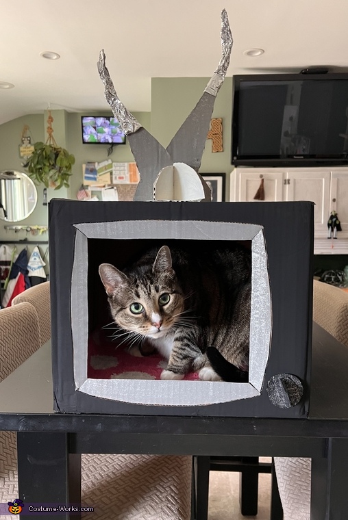 Cat TV Costume