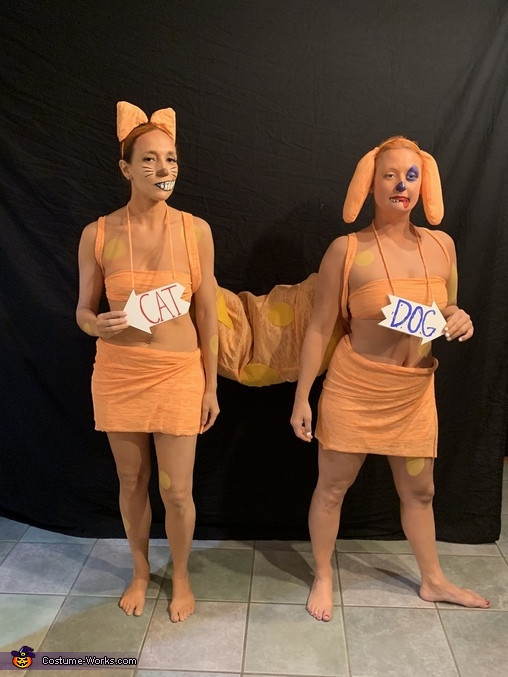 nickelodeon cat dog couple costumes