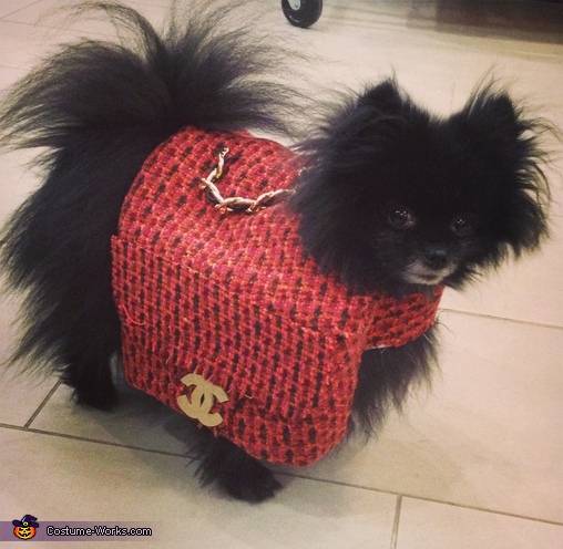 Chanel Bag Costume for Dogs