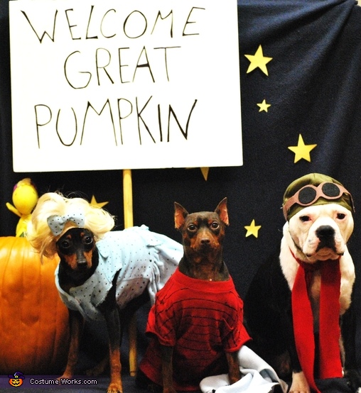 Charlie Brown Great Pumpkin Dogs Costume