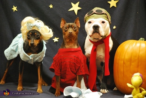 Charlie Brown Great Pumpkin Dogs Costumes - Photo 2/4