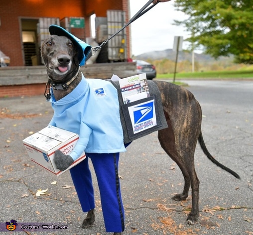 Charlie the Greyhound Mail Carrier Costume