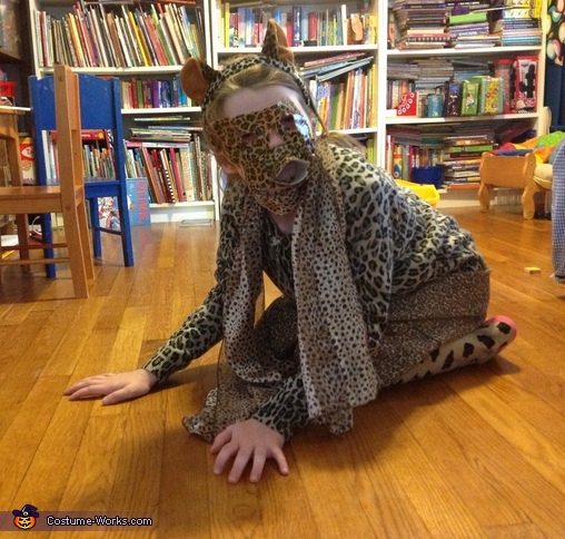 Cheetah Girl Costume