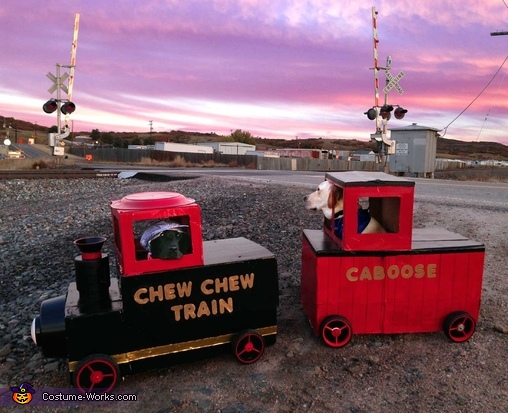 Chew Chew Train Costume