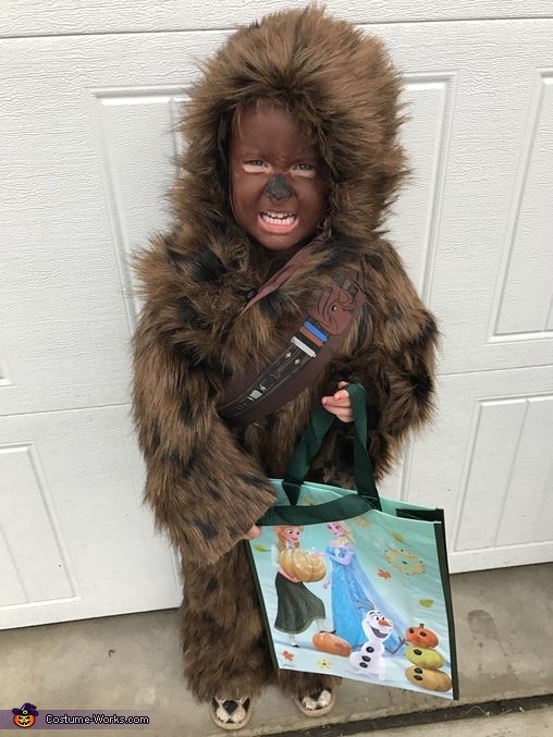 Chewbacca Costume