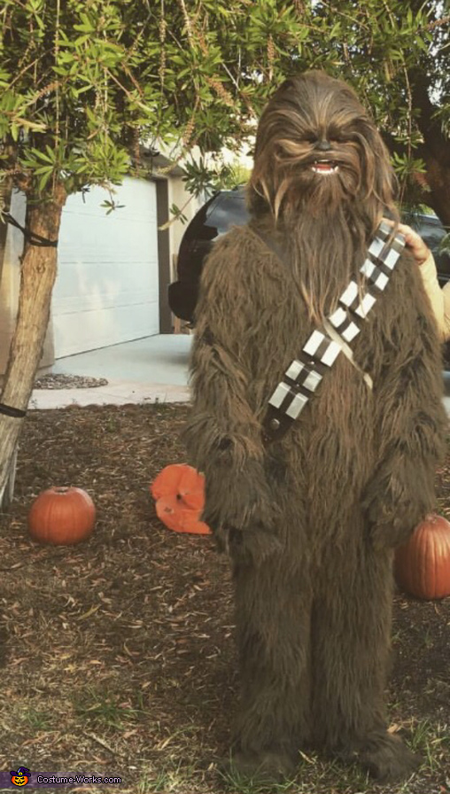 Chewbacca Adult Costume | Easy DIY Costumes