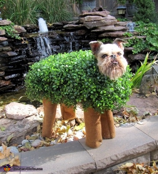 DIY Chia Pet Costume | DIY Costumes Under $65