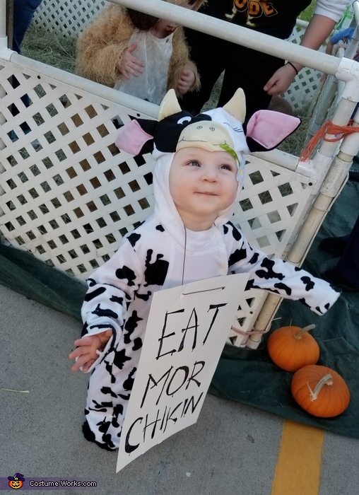 Chicfila Cow Baby Costume | DIY Costumes Under $35