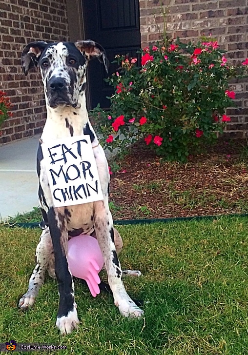 Chick-Fil-A Cow Dog Costume