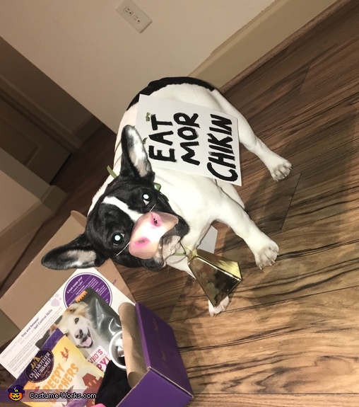 Chick-Fil-A Cow Costume